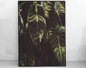 Tropical Leaves Print, Dark Green Plant Art, Plant Leaf Printable, Botanical Photography Art, Download Art Print, Green Leaves Print