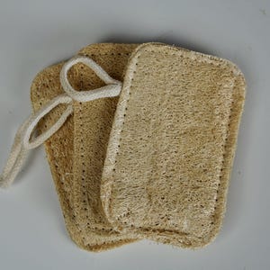 Double Layer Loofah Sponge | Pack of 3 or Single | Organic Loofah Squash, Dish Sponge, Exfoliating Bath Loofah, Sustainable, Plastic Free