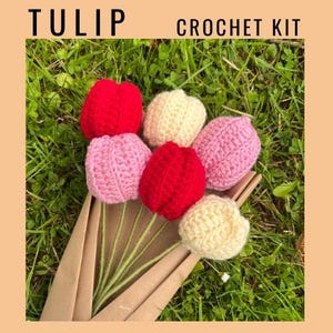 Kit de fleurs au crochet, tulipe POUR 6, AVEC crochet, cadeau de Noël, bricolage, modèle avec tutoriel photo, décoration d'hiver, cadeaux de neige au crochet, Noël