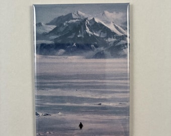 Nihilistic Penguin Refrigerator Magnet