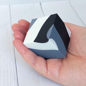 Puede incluir: Un cubo rompecabezas geométrico con un diseño liso de múltiples facetas y paneles alternos en negro, blanco y gris pizarra sólidos. El objeto presenta una construcción modular con bordes curvos y secciones entrelazadas que forman una figura.