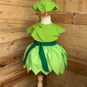Baby dress/tinkerbell baby costume/tinkerbell baby dress.