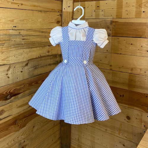 blue gingham dress baby Darby Gingham Embroidered Sleeveless Dress in Blue (12mths-12yrs) main image 0