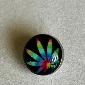 May include: A circular body jewelry stud featuring a black background with a vibrant, multi-colored rainbow leaf graphic printed on the front. The piece has a smooth, glossy, domed surface and a metallic silver-toned base edge.
