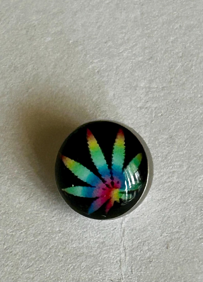 May include: A circular body jewelry stud featuring a black background with a vibrant, multi-colored rainbow leaf graphic printed on the front. The piece has a smooth, glossy, domed surface and a metallic silver-toned base edge.