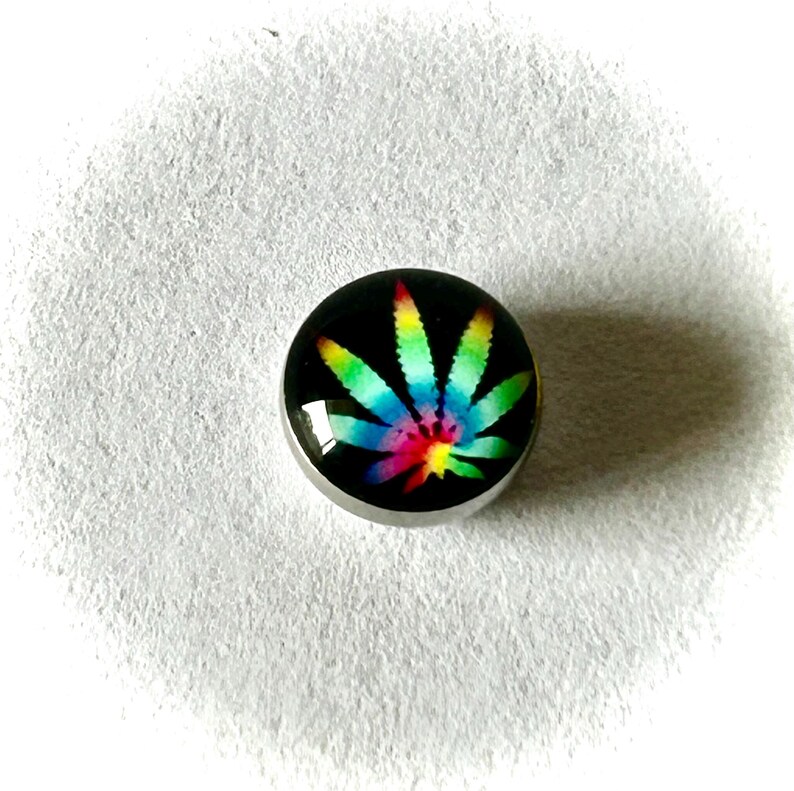 May include: A circular body jewelry plug featuring a black background with a vibrant, multi-colored rainbow leaf graphic centered on the face. The piece has a smooth, polished metallic edge and a glossy, domed surface finish.