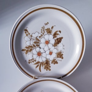 4 Vintage Dried Flowers Mountain Wood Collection Dinnerplates-Transfer Plates-Eatingplates-Dishes-SidePlates-Ceramic-Porclain-made in Japan