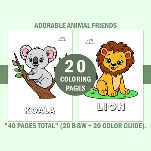 Libro da colorare con simpatici animali per bambini piccoli, pagine da colorare per bambini con guida ai colori, schede didattiche prescolastiche, download digitale immediato. immagine 14