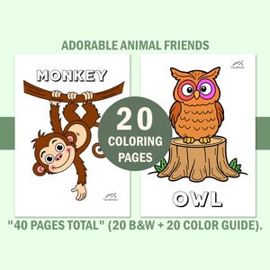 Libro da colorare con simpatici animali per bambini piccoli, pagine da colorare per bambini con guida ai colori, schede didattiche prescolastiche, download digitale immediato. immagine 13