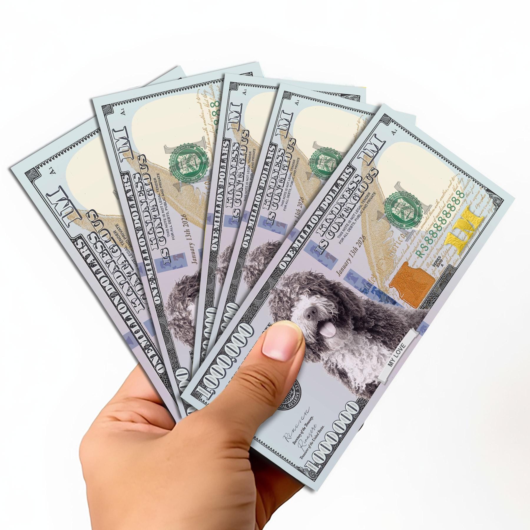 Fake Million Dollars - Etsy UK