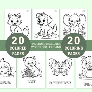 Preview of 20 cute animal coloring pages for toddlers showing side-by-side black and white line art and full-color guides for a dolphin, cat, butterfly, and bear. Text reads 40 pages total, including 20 B&W and 20 color guides.