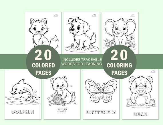 Cute Animal Coloring Book for Toddlers, Kids Coloring Pages with Color Guide, Preschool Educational Worksheets, Instant Digital Download