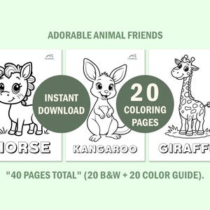 Libro da colorare con simpatici animali per bambini piccoli, pagine da colorare per bambini con guida ai colori, schede didattiche prescolastiche, download digitale immediato. immagine 9