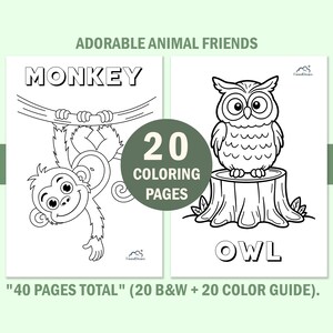 Educational kids animal coloring book pages featuring a cute monkey and Owl. Includes a black and white version for coloring and a color version as a reference guide. Large block letters at the bottom show the animal names for vocabulary learning.