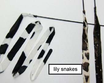 Lily Snakes