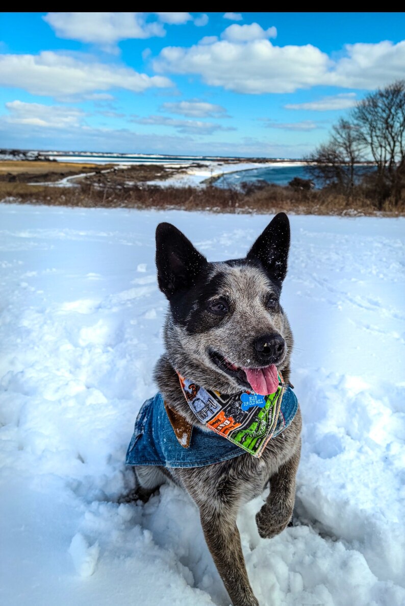 Hunting Bandana Dog lover Gift Bandana for Dogs Gone Fishing Reversible pet Bandana Nature Dog Bandana Pet gift