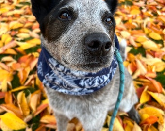 Blue infinity scarf, dog scarf, winter dog, blue snowflake fleece dog neckwear, dog gift, cowl scarf, dog gift, neck scarf, dog snood