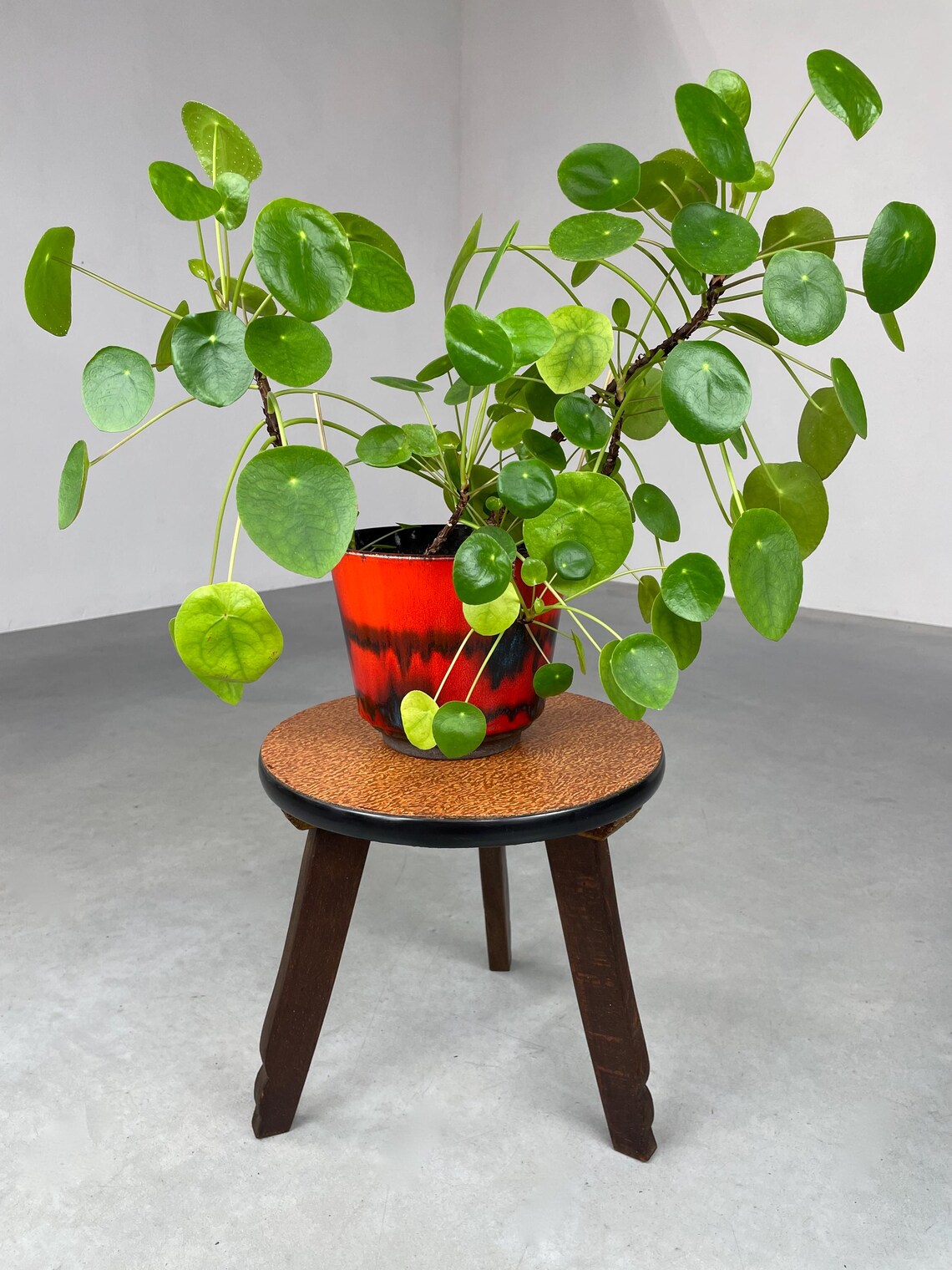 Vintage round side table - 60s Plant stand - 1950s wood tripod table, foto 2 di 5