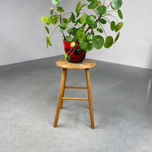 Op de afbeelding: Een houten kruk met een ronde zitting en twee dwarsbalken. Een plant in een pot met ronde, groene bladeren staat op de kruk. De pot is rood met zwarte en witte accenten.