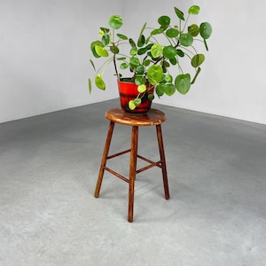 May include: A wooden stool with a round seat and four legs. A potted plant with green leaves is sitting on the stool. The pot is red with black and white accents.