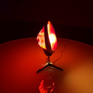 Puede incluir: Lámpara decorativa de concha que emite una luz roja y naranja cálida. La lámpara está montada sobre una base de trípode y un vástago cromado. El diseño de la concha se refleja en la superficie.