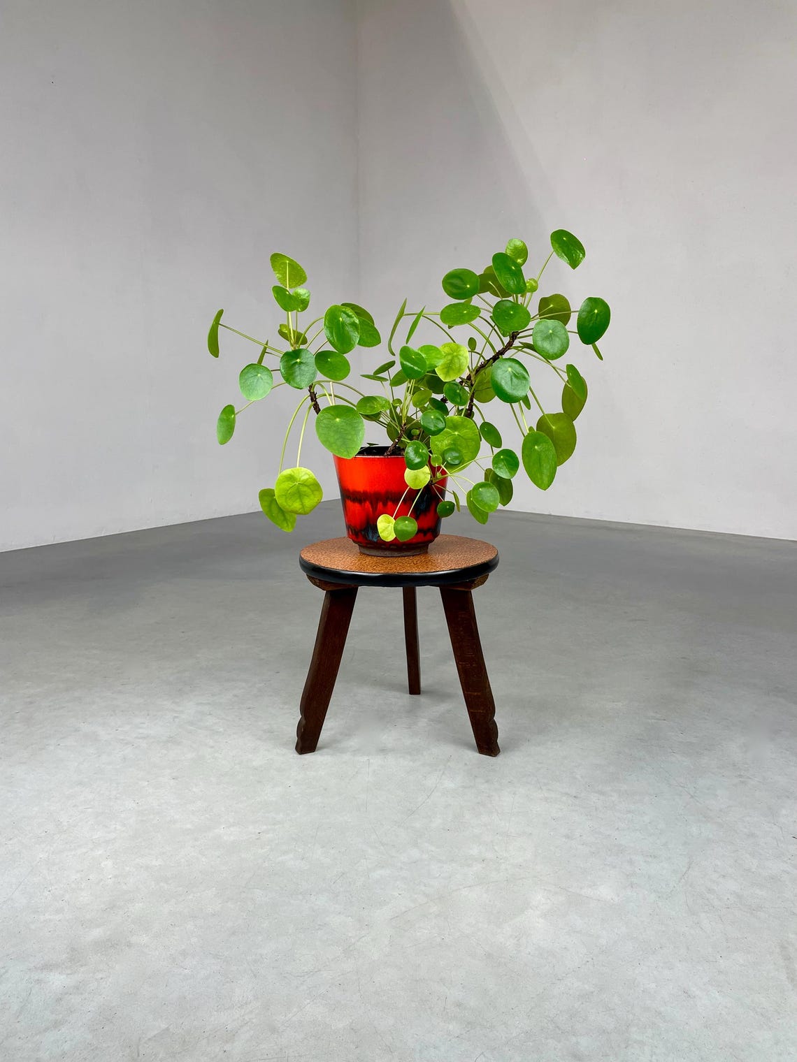 Vintage round side table - 60s Plant stand - 1950s wood tripod table, foto 1 di 5