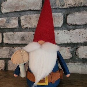 David Gnome