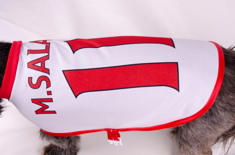 LIVERPOOL DOG TSHIRTS y camisetas de fútbol de varios tamaños Etsy