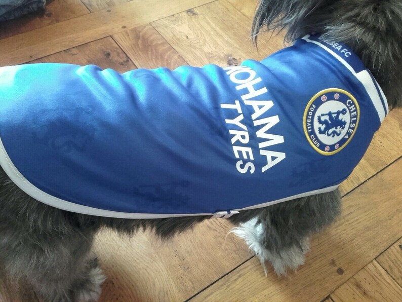 chelsea dog jersey
