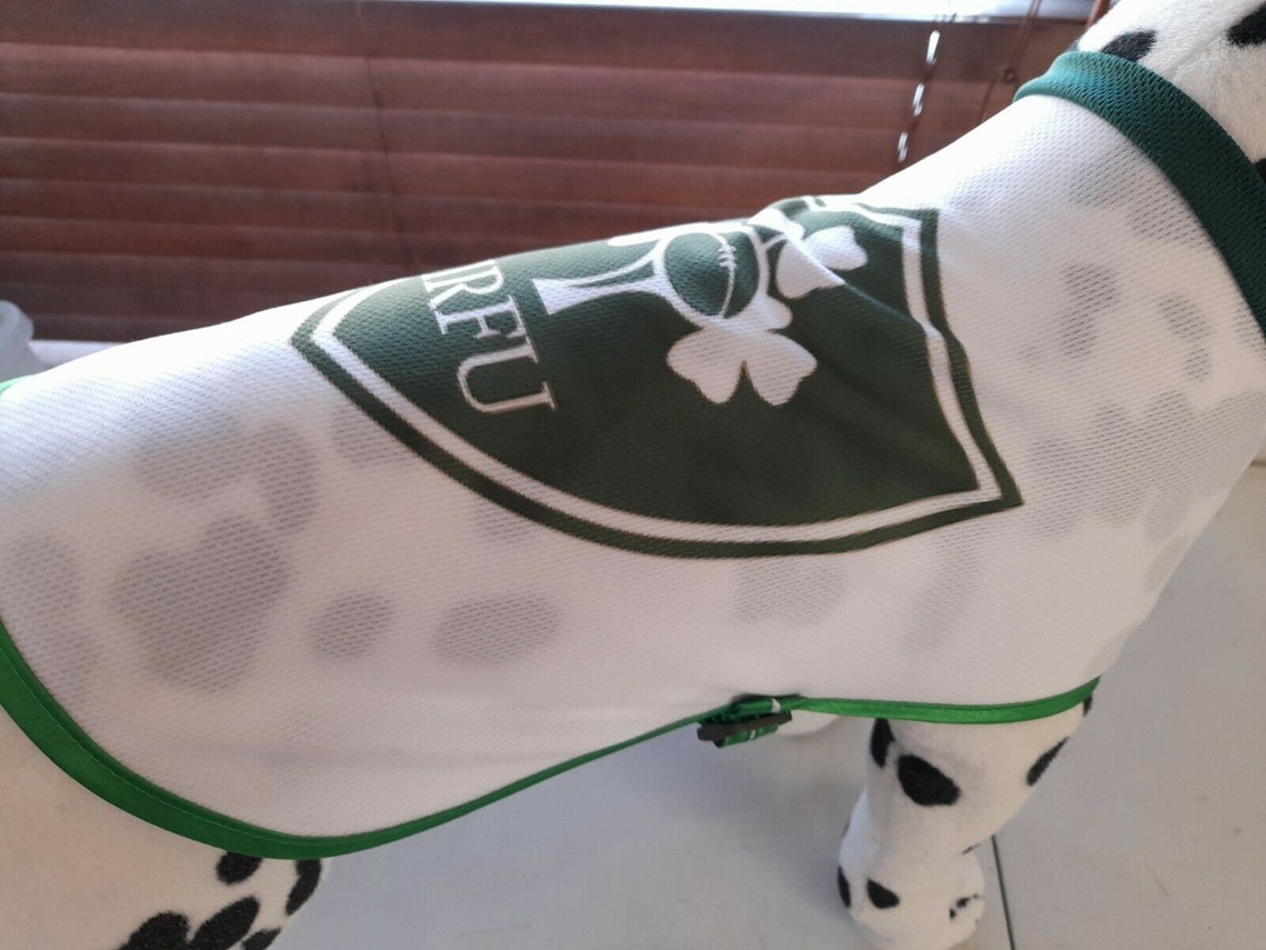 INTERNATIONAL RUGBY dog T shirts various Etsy