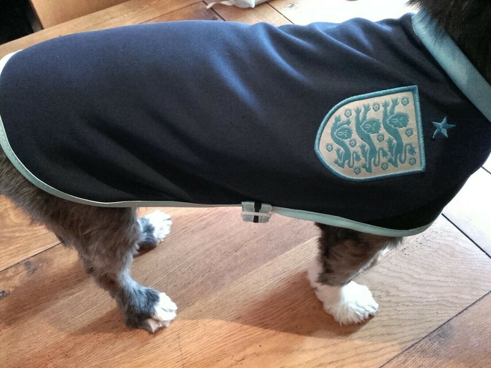 ENGLAND DOG FOOTBALL shirts various sizes Etsy