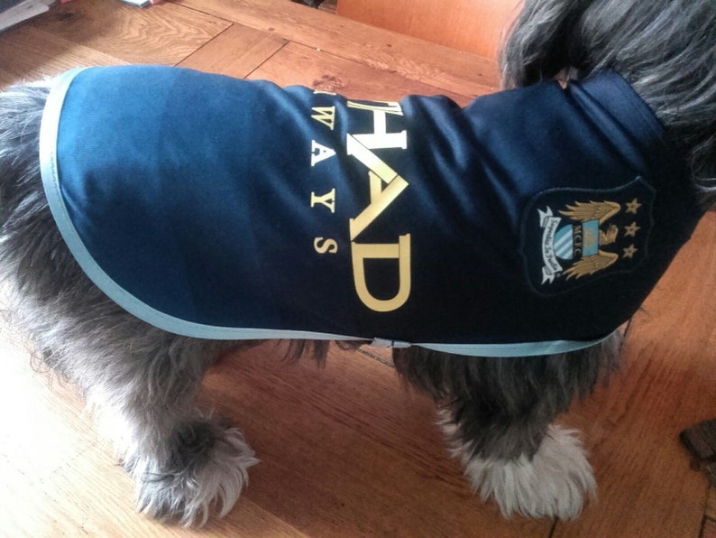 manchester city dog jersey