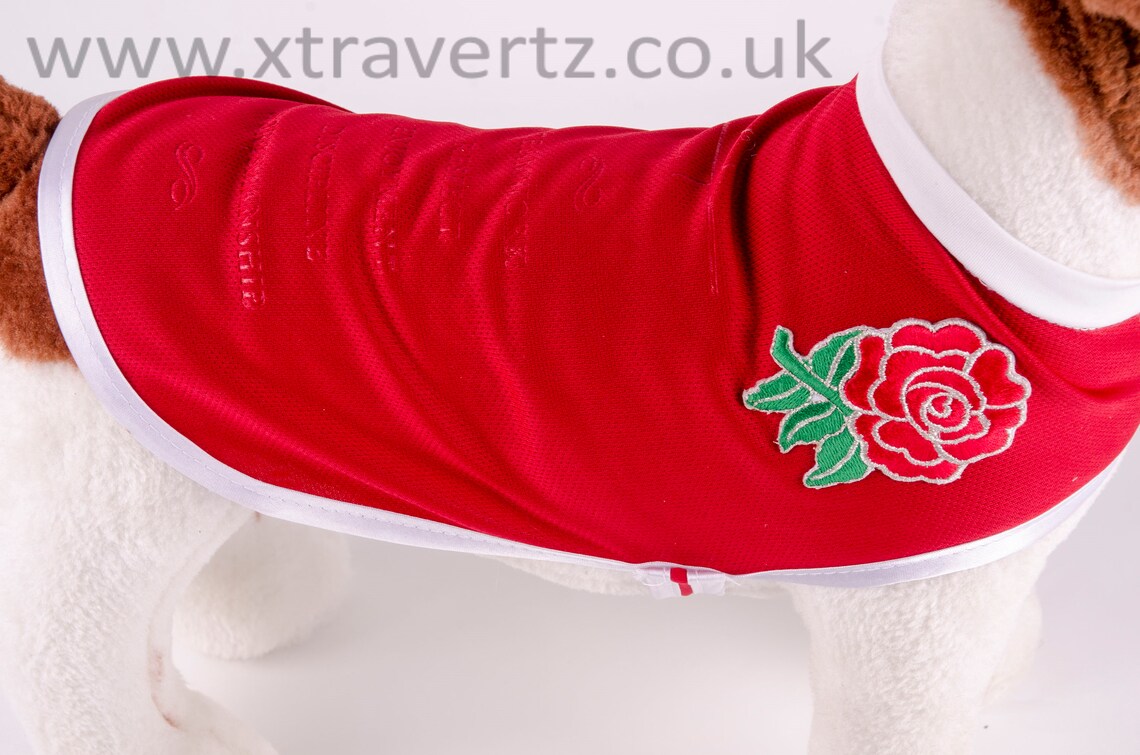 Rugby Union Shirts for dogs various Etsy