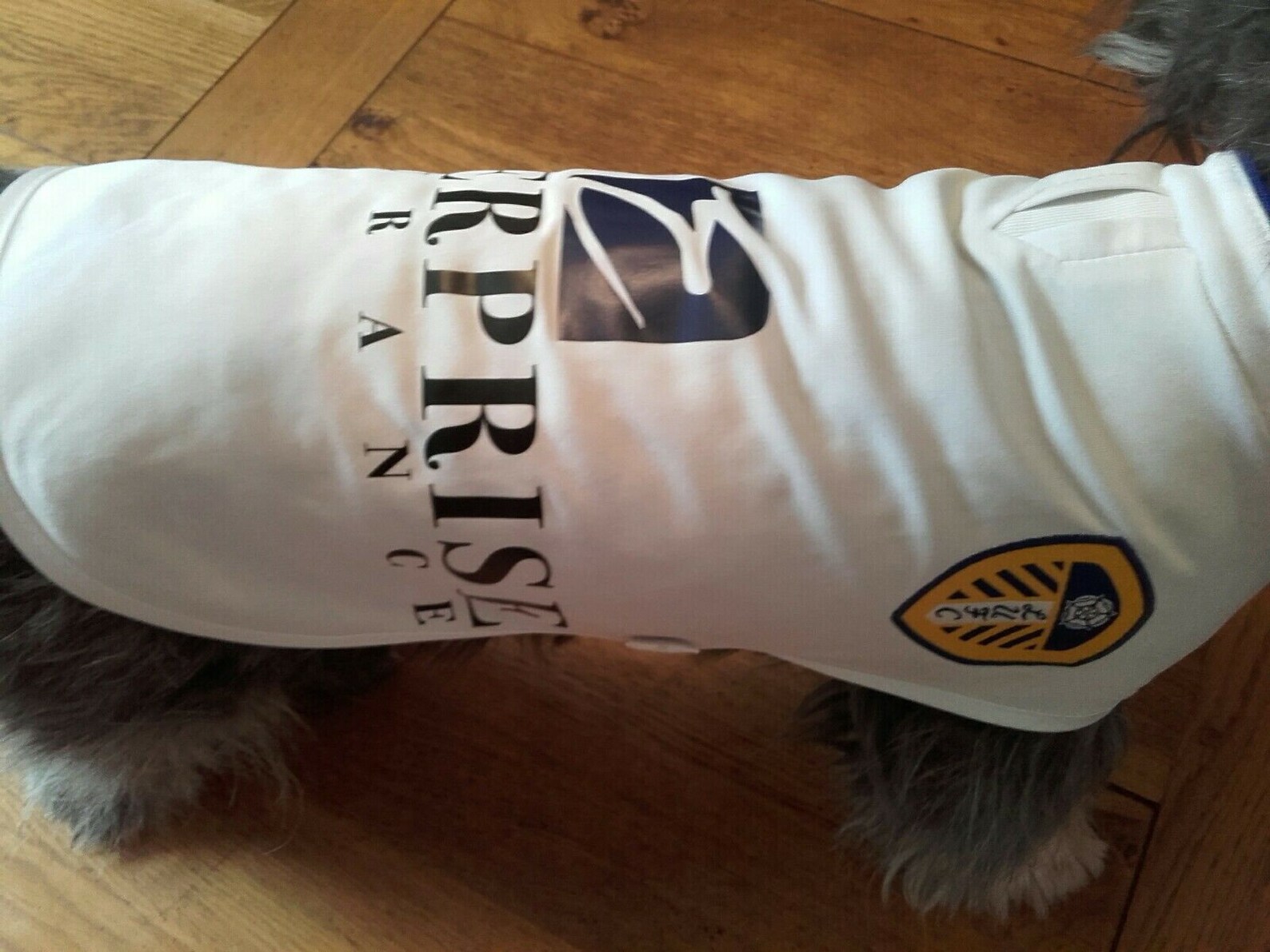 LEEDS UNITED dog football shirts various sizesfrom the Etsy