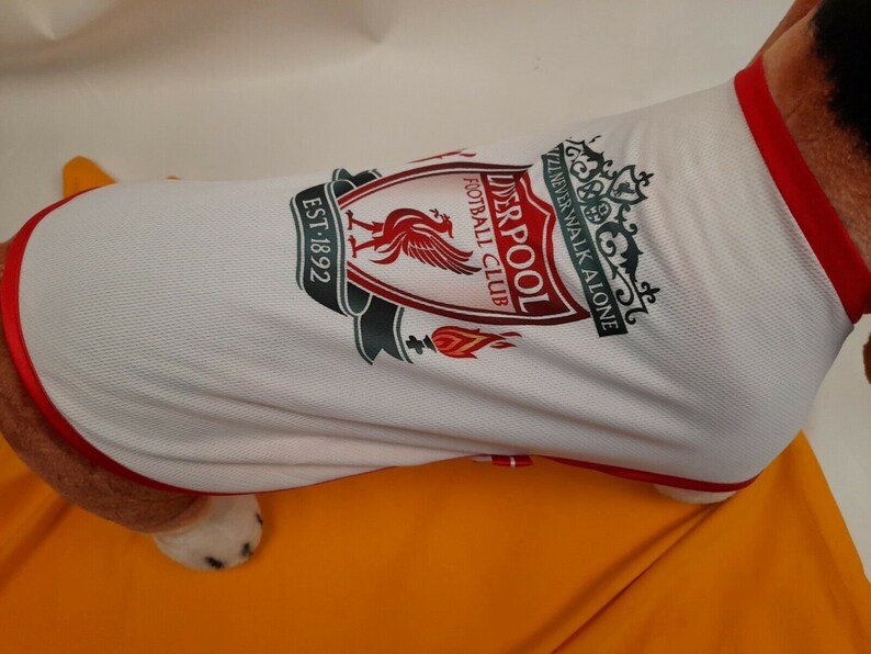 LIVERPOOL DOG TSHIRTS & football shirts various sizes Etsy