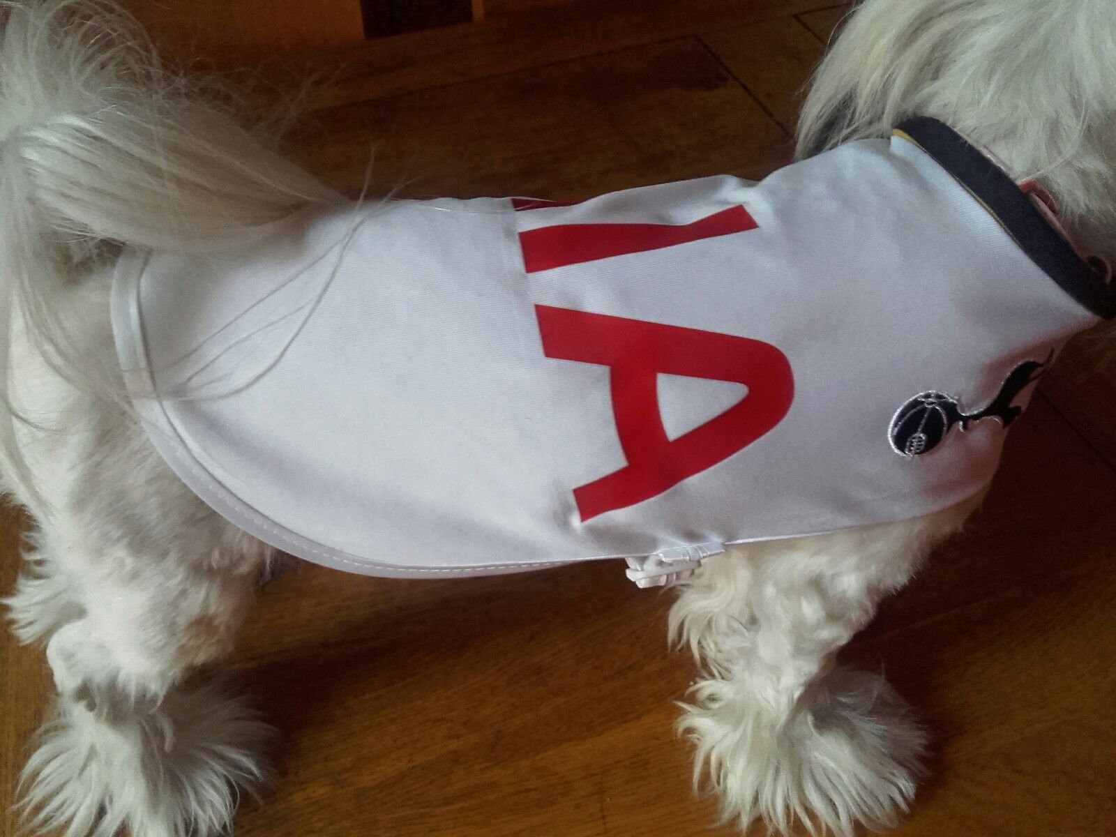 liverpool football kits for dogs