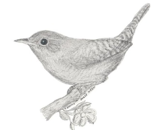 Husgärdsmyg blyertsfågelteckning (digital nedladdning)