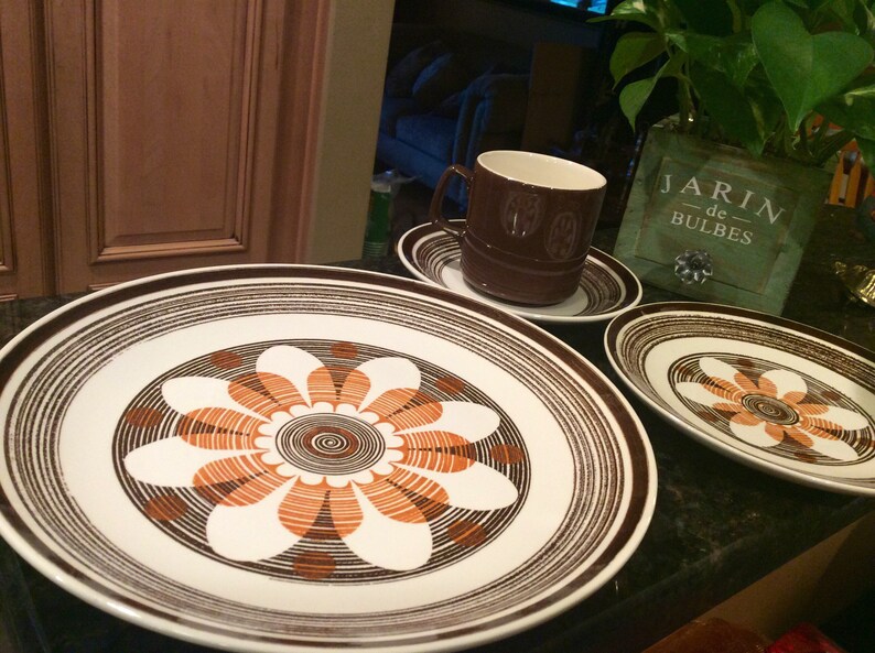 American Contemporary Ironstone Fantasia 4 piece place setting