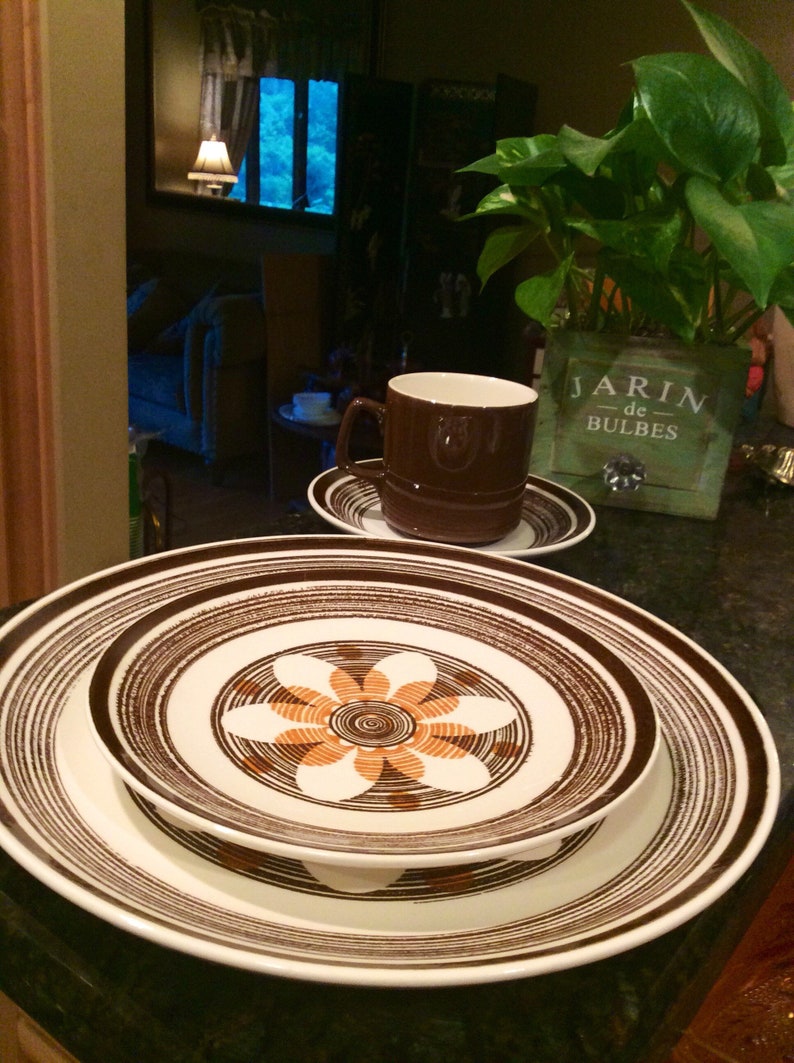 American Contemporary Ironstone Fantasia 4 piece place setting