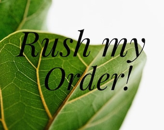 RUSH MY ORDER! Need Your Order Soon, Add On