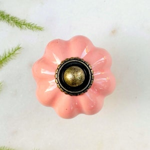 May include: A pink ceramic cabinet knob with a fluted design and a gold-toned metal accent.