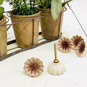 May include: A collection of decorative cabinet knobs with a floral design. The knobs are off-white with a brown center and gold trim. The knobs are on a white wooden surface, with a metal plant holder and potted plants in the background.