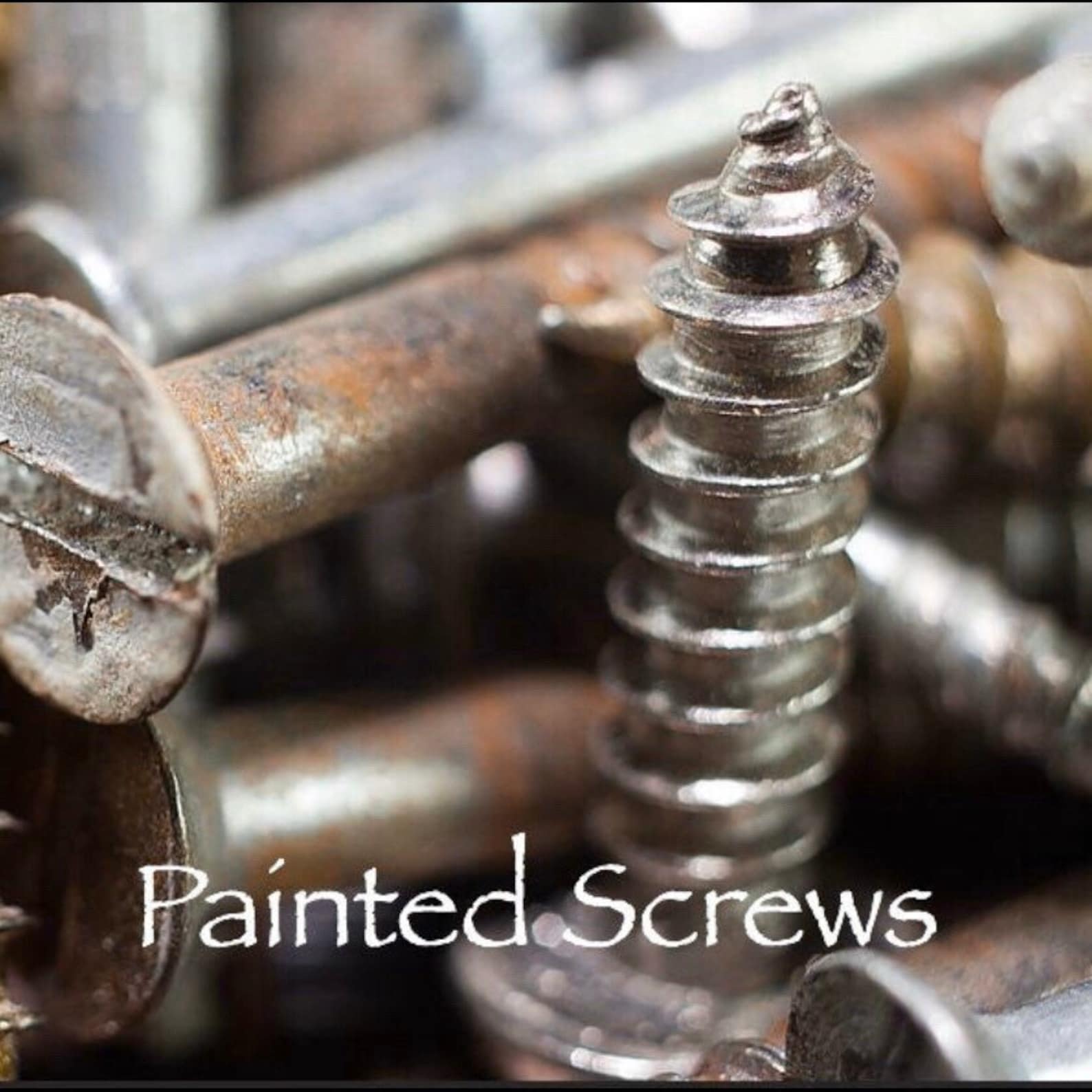 2 Painted Screws to Match All Wall Hangings Screws Outlet Etsy
