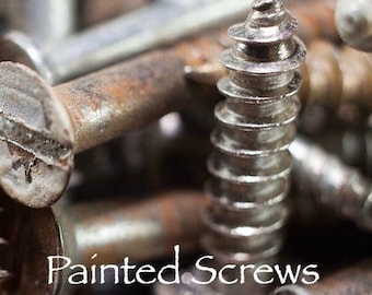 2 Painted Screws: Matching Wall Hanging Hardware