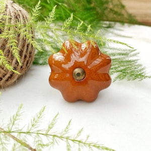May include: A brown ceramic cabinet knob with a starburst design and a brass-colored center. The knob is set against a white surface with green foliage and a ball of twine in the background. A decorative accent for furniture.