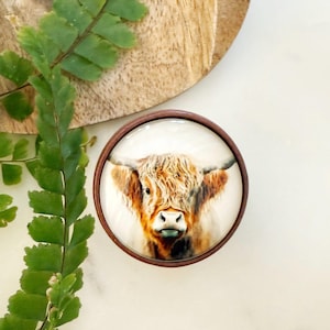 May include: A close-up of a round, copper-colored, framed, glass ornament featuring a watercolor painting of a Highland cow with brown and white fur. The cow has a long, shaggy mane and a light blue nose.