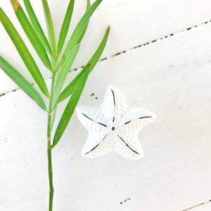 May include: White ceramic starfish with a textured surface. The starfish is a popular nautical decor item.
