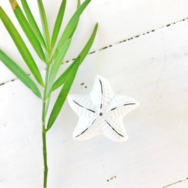 Starfish Knob, Costal Knob, Beach Knob, White Starfish Knob,