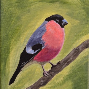 Bullfinch Giclée Print, 5x7", Finch, Fine Art by Lauren White