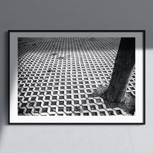 No. 20 "Tr" - Physical fine art photography print, black and white print, minimal, tree, decorative, urban, park, concrete, abstract poster